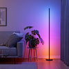Matter Smart Multicolor Floor Lamp
