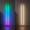 Matter Smart Multicolor Floor Lamp