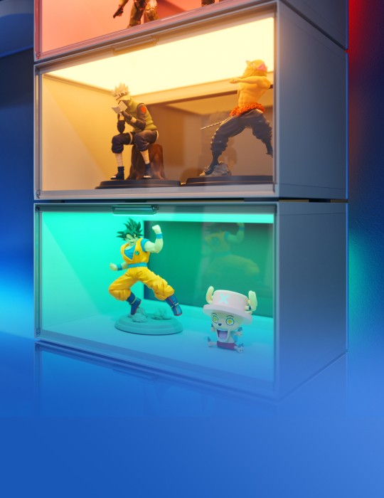 EXPO Display Case