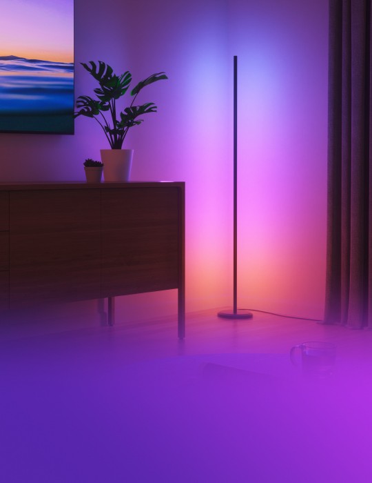 Multicolor Floor Lamp