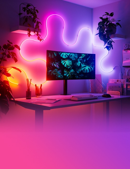 Multicolor Rope Light