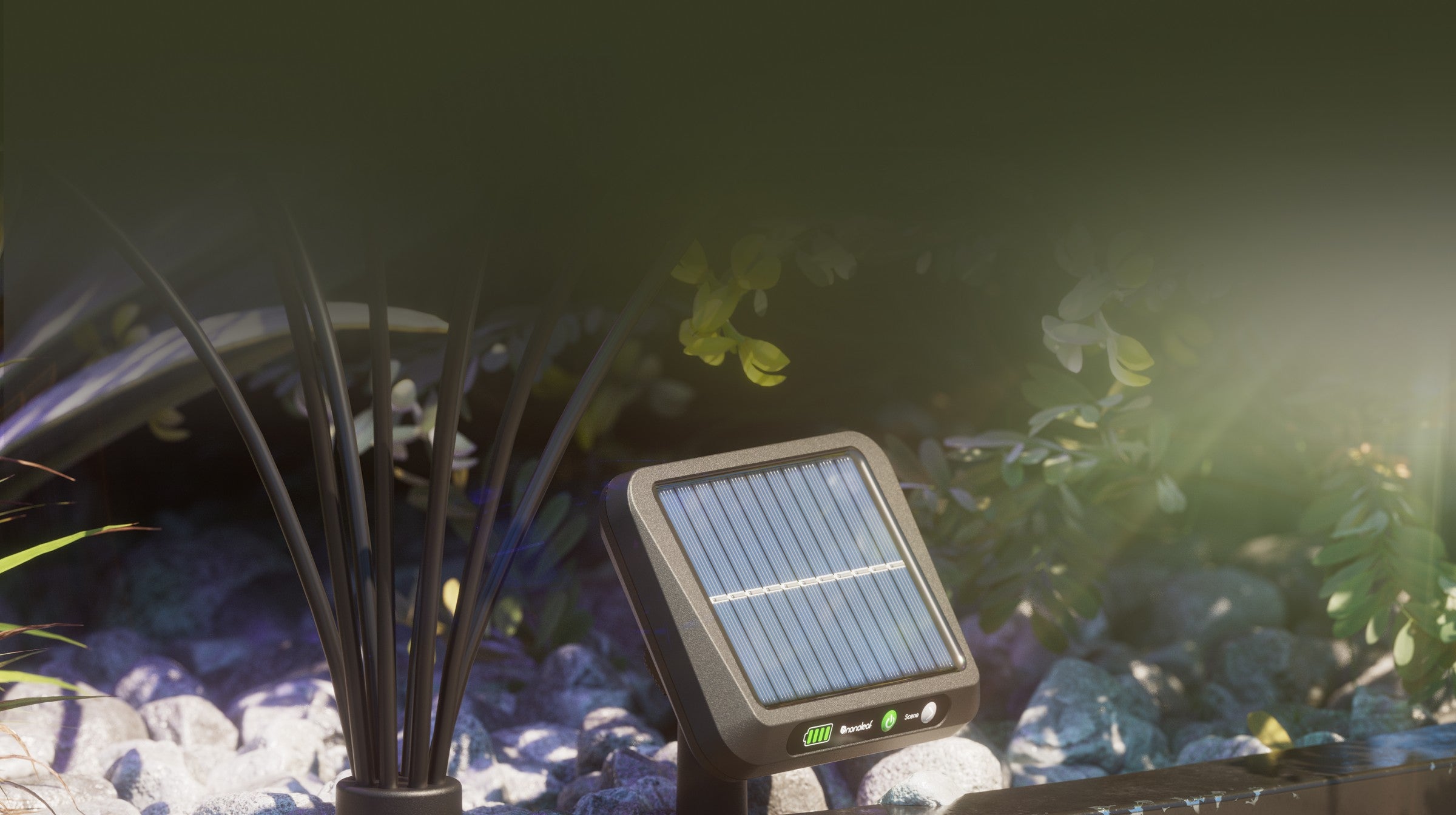 OFF in Daylight to Auto Charge